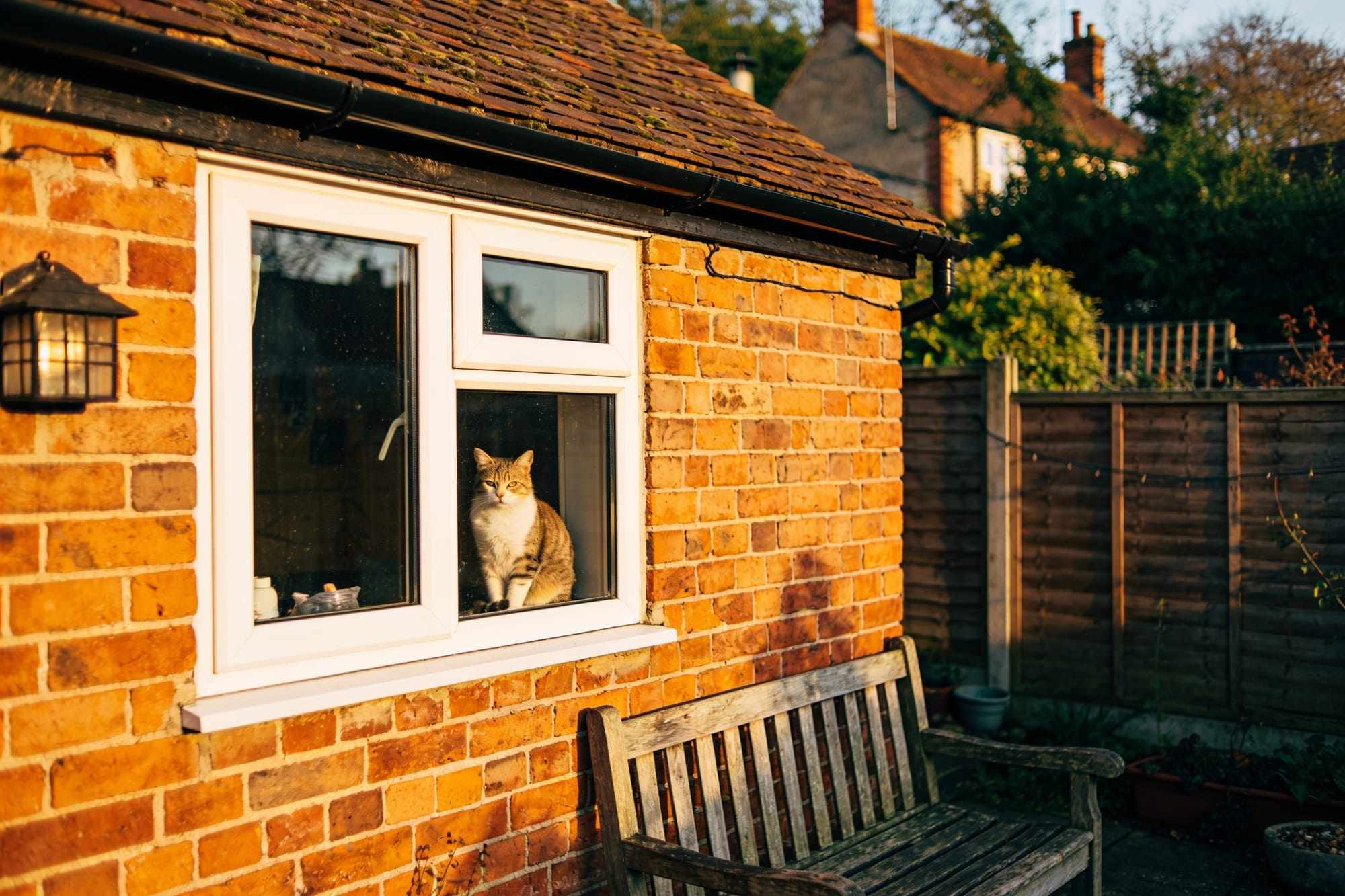 A small brick cottage with a cat sitting in the window and a garden bench by the fence